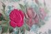 画像2: フランス　アンティークポストカード　ピンクと赤のバラの花 (2)