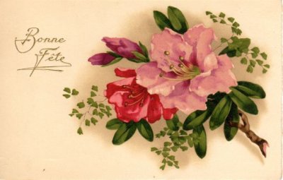 画像1: フランス　アンティークポストカード　やわらかな二輪の花
