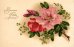 画像1: フランス　アンティークポストカード　やわらかな二輪の花 (1)