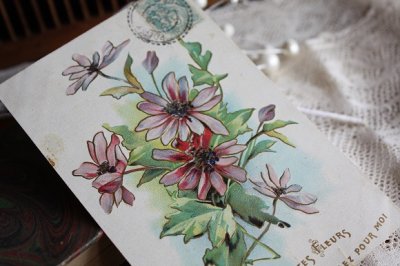 画像1: フランス　アンティークポストカード　深い紫のお花