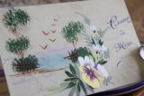 フランスアンティーク　セルロイドのポストカード　お花と風景