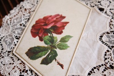 画像1: フランスアンティーク　クロモス・クロモカード　薔薇1