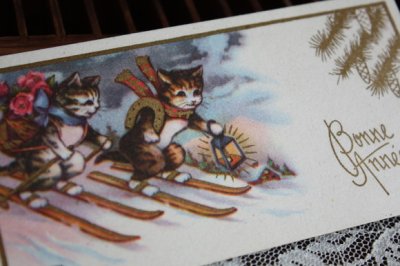画像1: フランス　古いメッセージカード　スキーをするネコ