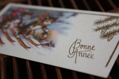 画像3: フランス　古いメッセージカード　スキーをするネコ