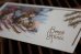 画像3: フランス　古いメッセージカード　スキーをするネコ (3)