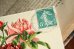 画像3: フランス　アンティークポストカード　薔薇の花かご