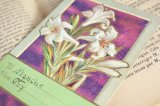 フランス　アンティークポストカード　白いユリの花