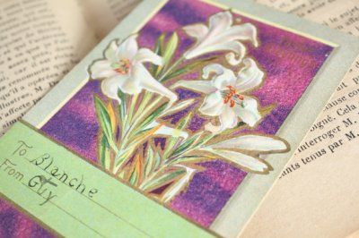 画像1: フランス　アンティークポストカード　白いユリの花