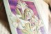 画像3: フランス　アンティークポストカード　白いユリの花