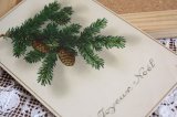 フランス　アンティークポストカード　クリスマスの木のみ