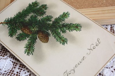 画像1: フランス　アンティークポストカード　クリスマスの木のみ