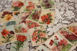 フランス　アンティークカード　お花のカードセット