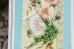 画像4: フランス　古い生地のサンプルカード　お花柄