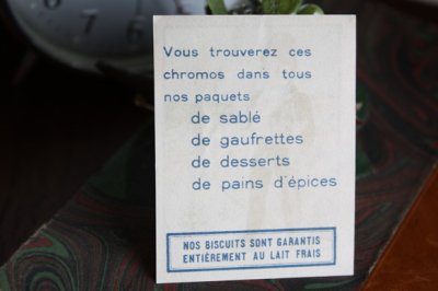 画像3: フランス　クロモス・クロモカード　「Ｓｅｅｂａｃｈ」の男性