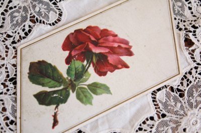 画像5: フランスアンティーク　クロモス・クロモカード　薔薇1