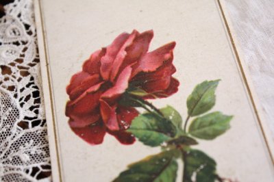 画像4: フランスアンティーク　クロモス・クロモカード　薔薇1