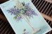 画像5: フランス　アンティークポストカード　ライラックの花