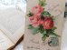 画像7: フランス　アンティークポストカード　ピンクのバラの花