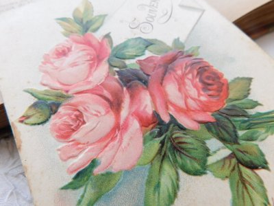 画像2: フランス　アンティークポストカード　ピンクのバラの花