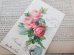 画像6: フランス　アンティークポストカード　ピンクのバラの花