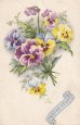 画像7: フランス　古いポストカード　ビオラの花束
