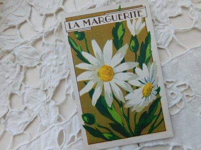 画像4: フランスアンティーク　お花のカード　マーガレット
