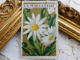 フランスアンティーク　お花のカード　マーガレット