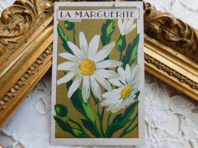 画像1: フランスアンティーク　お花のカード　マーガレット