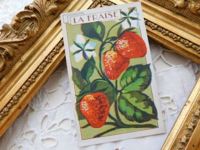 画像1: フランスアンティーク　古いカード　いちご