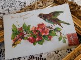 フランス　アンティークポストカード　花と鳥と