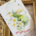 フランス　アンティークポストカード　白い花