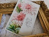 フランスアンティークポストカードピンクの花1905の画像