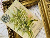 フランスアンティークポストカードスズランの花1906年の画像