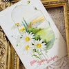 フランスアンティークポストカード白い花の画像