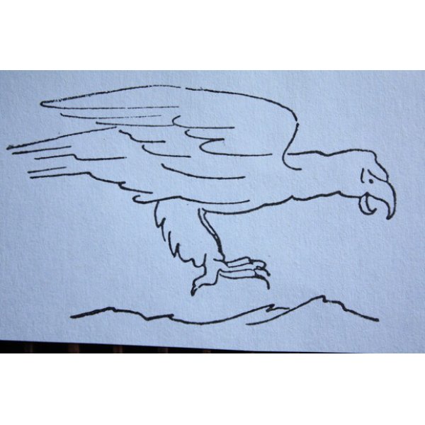 画像3: フランス　古いスタンプ　動物（鷲・鷹） (3)