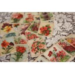 画像: フランス　アンティークカード　お花のカードセット