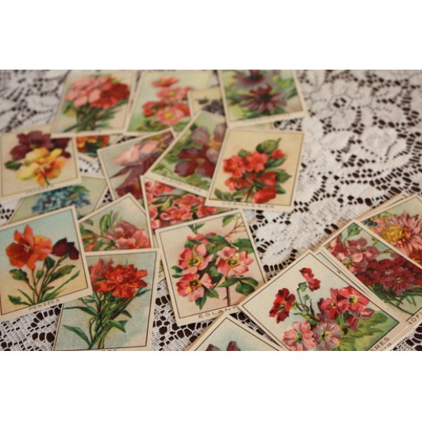画像1: フランス　アンティークカード　お花のカードセット (1)
