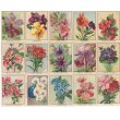 画像3: フランス　アンティークカード　お花のカードセット (3)