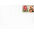画像7: フランス　アンティークカード　お花のカードセット (7)