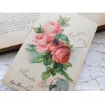 画像: フランス　アンティークポストカード　ピンクのバラの花