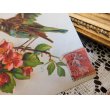 画像3: フランス　アンティークポストカード　花と鳥と (3)