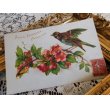 画像1: フランス　アンティークポストカード　花と鳥と (1)