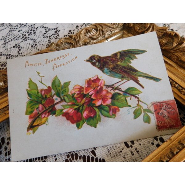 画像1: フランス　アンティークポストカード　花と鳥と (1)