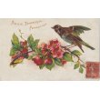 画像6: フランス　アンティークポストカード　花と鳥と (6)