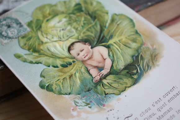 フランス アンティークポストカード 赤ちゃんはキャベツ畑から